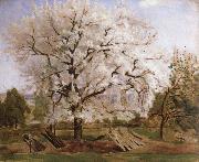 Carl Fredrik Hill apple tree in blossom oil painting on canvas